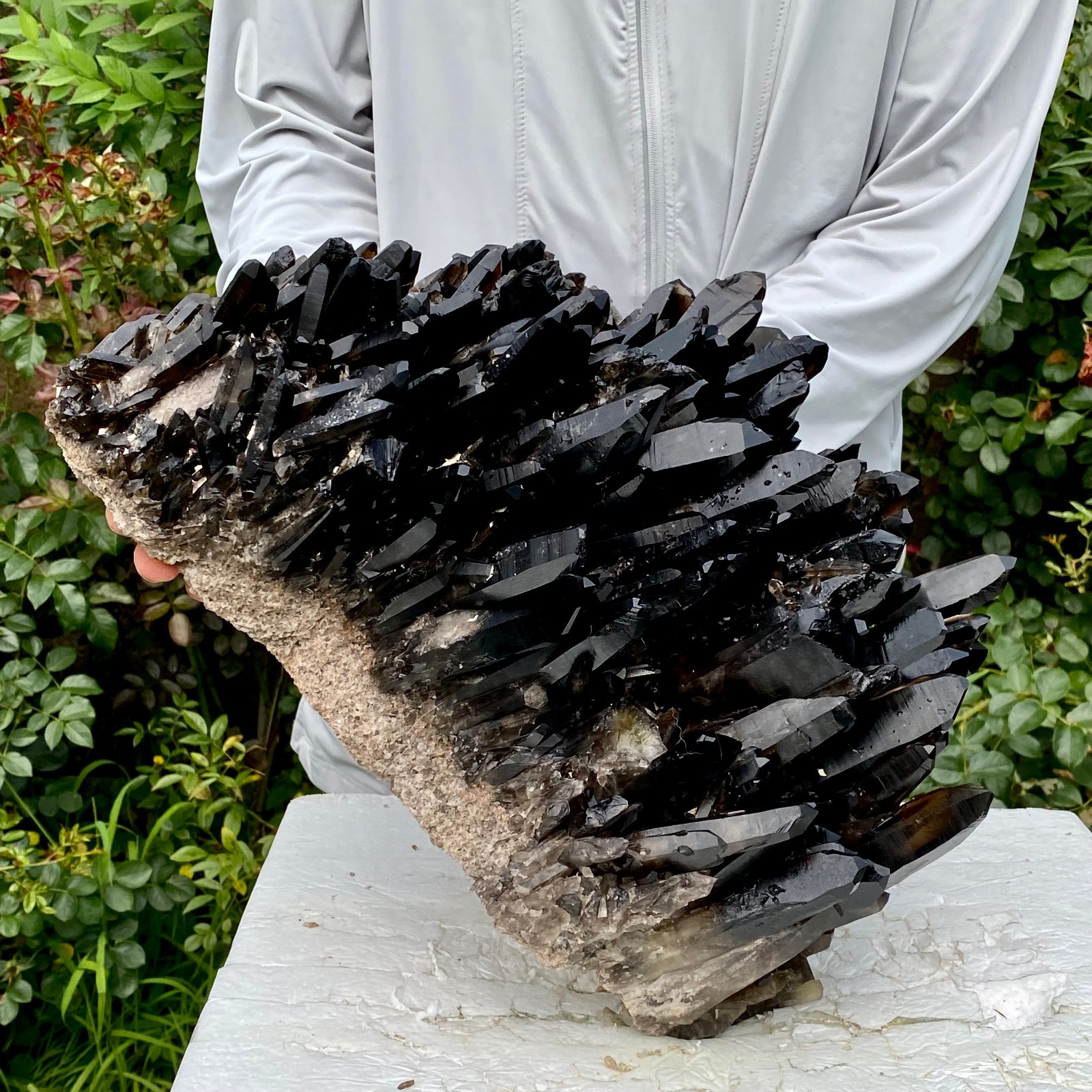 36.5LB New Find black PhantomQuartz Crystal Cluster Mineral Specimen