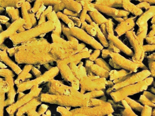 Fulgurite lightning fused sand blond fulgurite 1/8 pound 7 plus pieces 1-2.25″