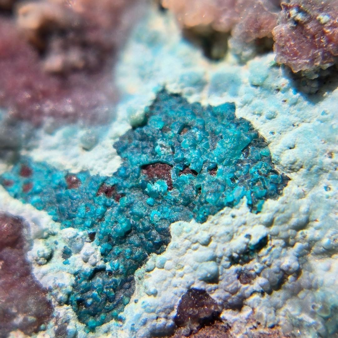 Blue Basin Mine Chrysocolla Copper Ore 302g Nevada Quartz Display Specimen