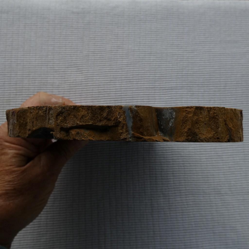 RimRock: 1.90 Lbs Polished NEW MEXICO PETRIFIED WOOD Rough Full Round