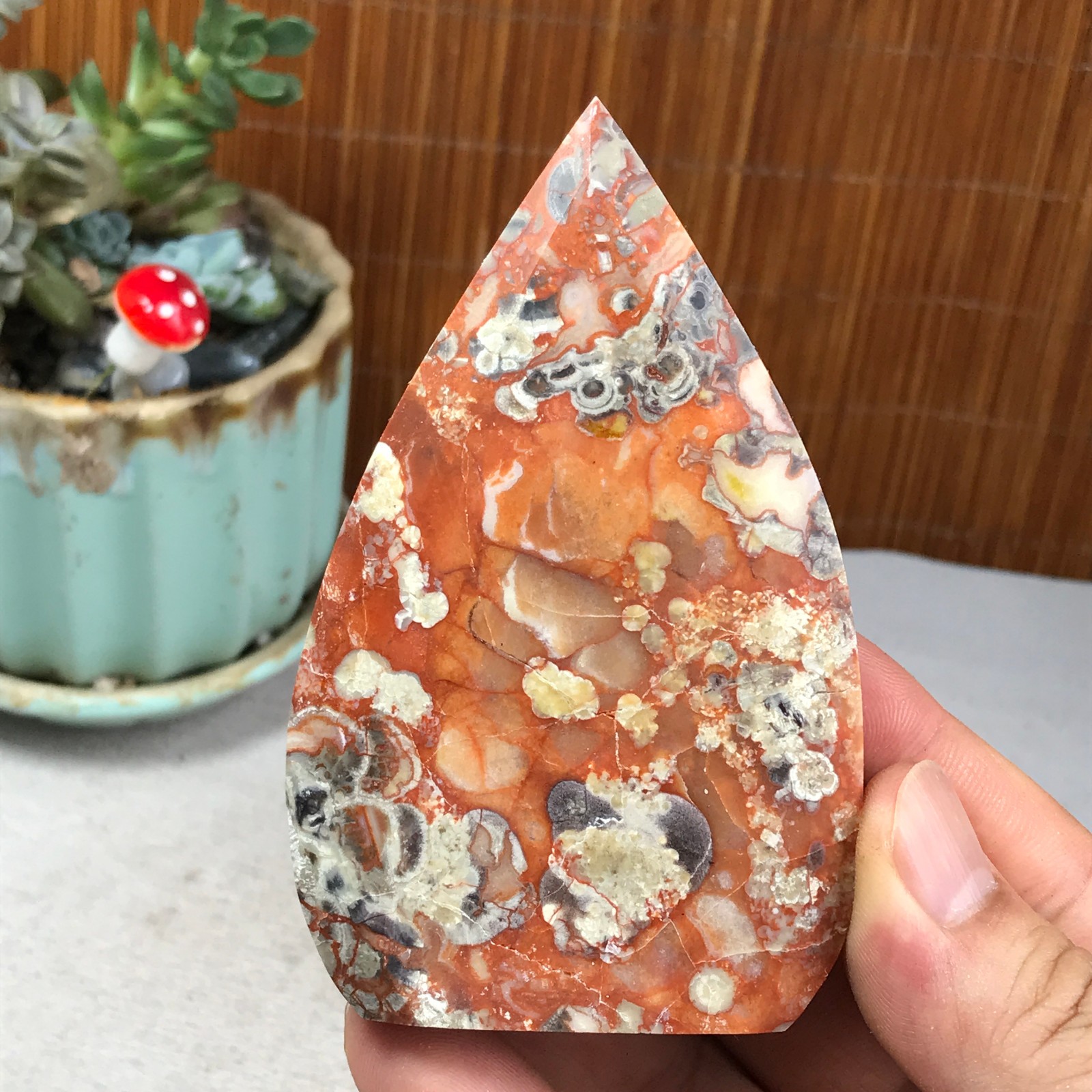 Natural money Mexico agate hand carve leaf Crystal Specimen free standing A6256
