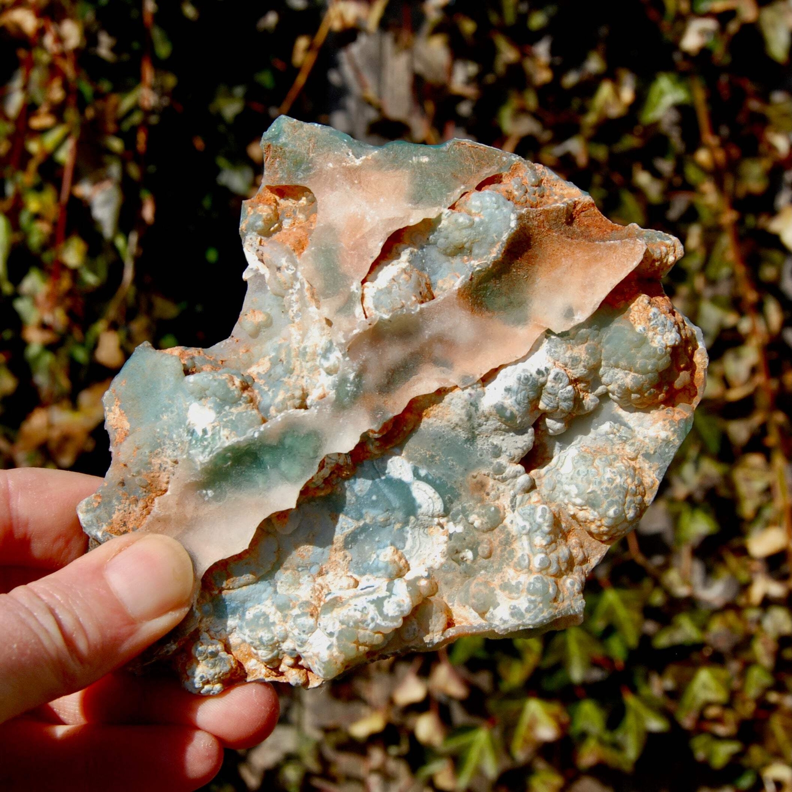 5.25in 237g Large Mtorolite Chrome Chalcedony Crystal Slice, Zimbabwe mtl4