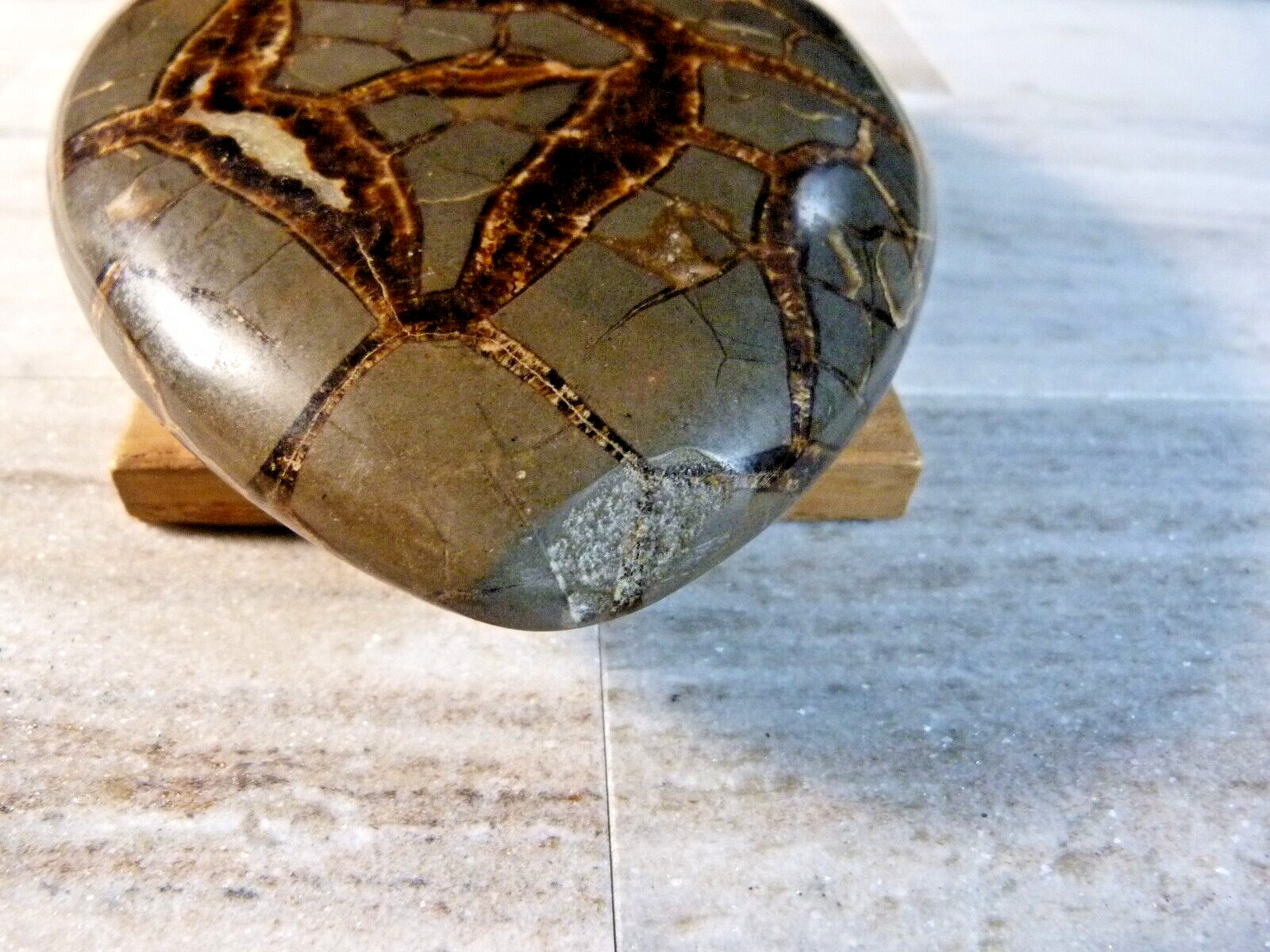Natural Polished Septarian Geode Crystal 700g 5 1/4 Inches