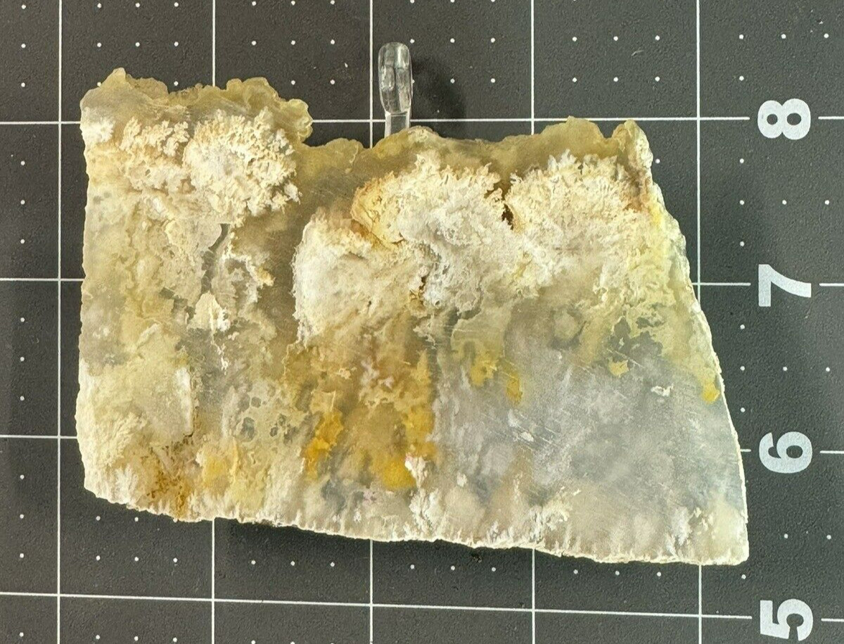 Graveyard Point Plume Agate Polished Display – Collectors Slab