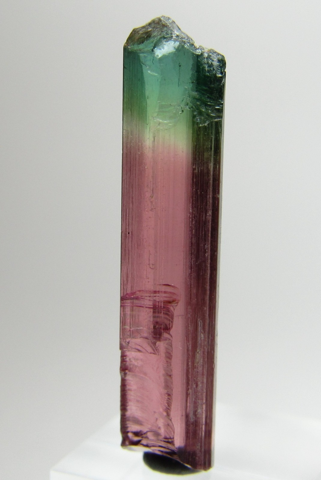 PHENOMENAL RARE FACET GRADE GEM TOURMALINE CRYSTAL!!! MORRO REDONDO BRAZIL