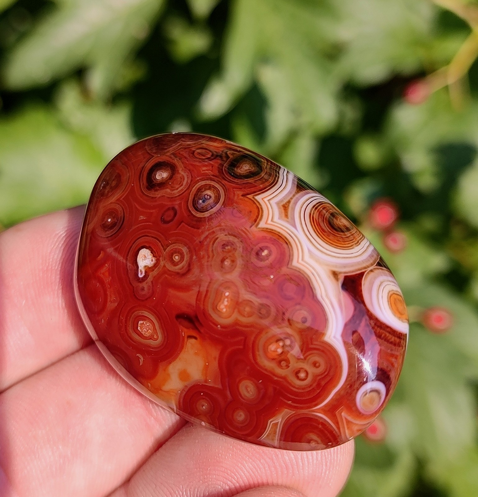 Mixed Pattern Madagascar Sardonyx Agate, 38g Polished Madagascar Tube Agate