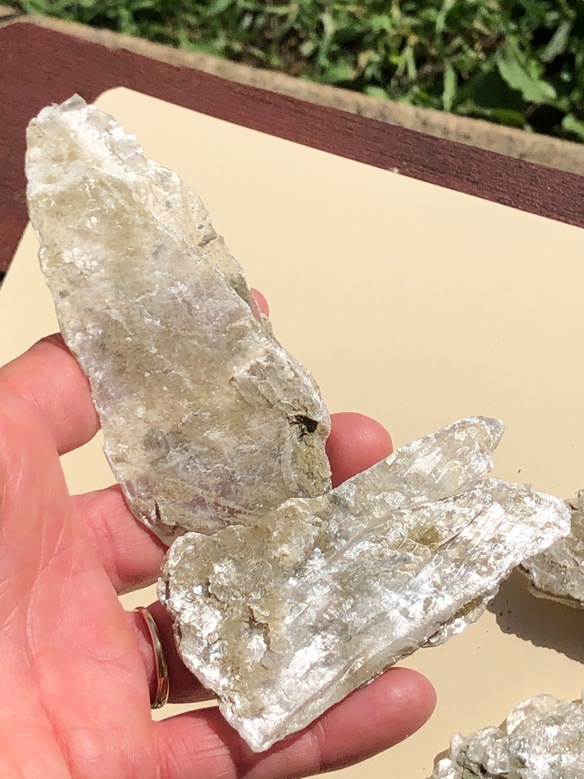Lot of 5 Natural selenite gypsum mineral specimens 208.8 grams healing
