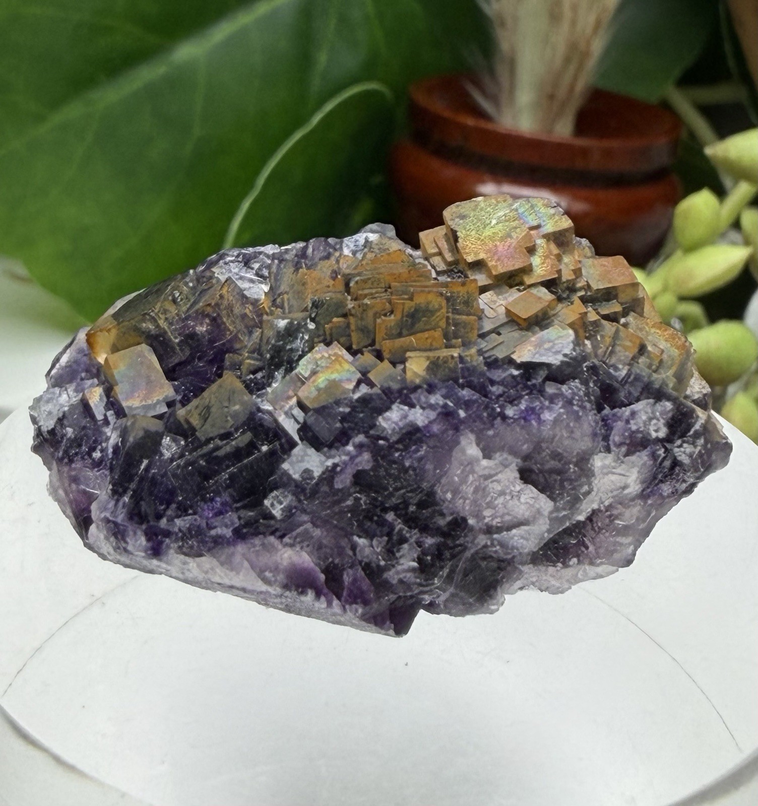 Crystal 25g Rainbow Covered Purple Fluorite UV Reactive Cluster Specimen Mineral
