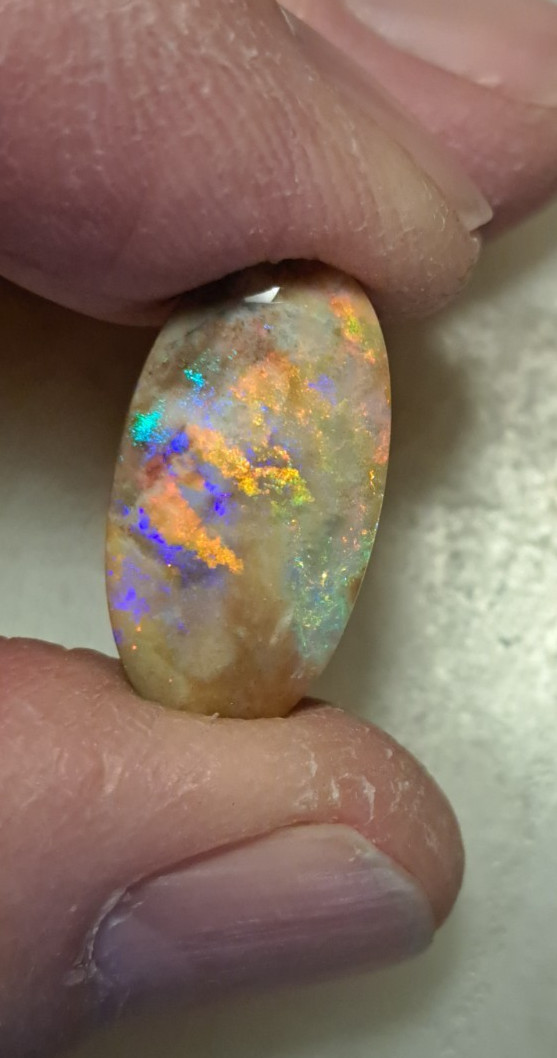Large Multicolor Andamooka Hard Matrix Double Sided Carbonized Polished Colorful