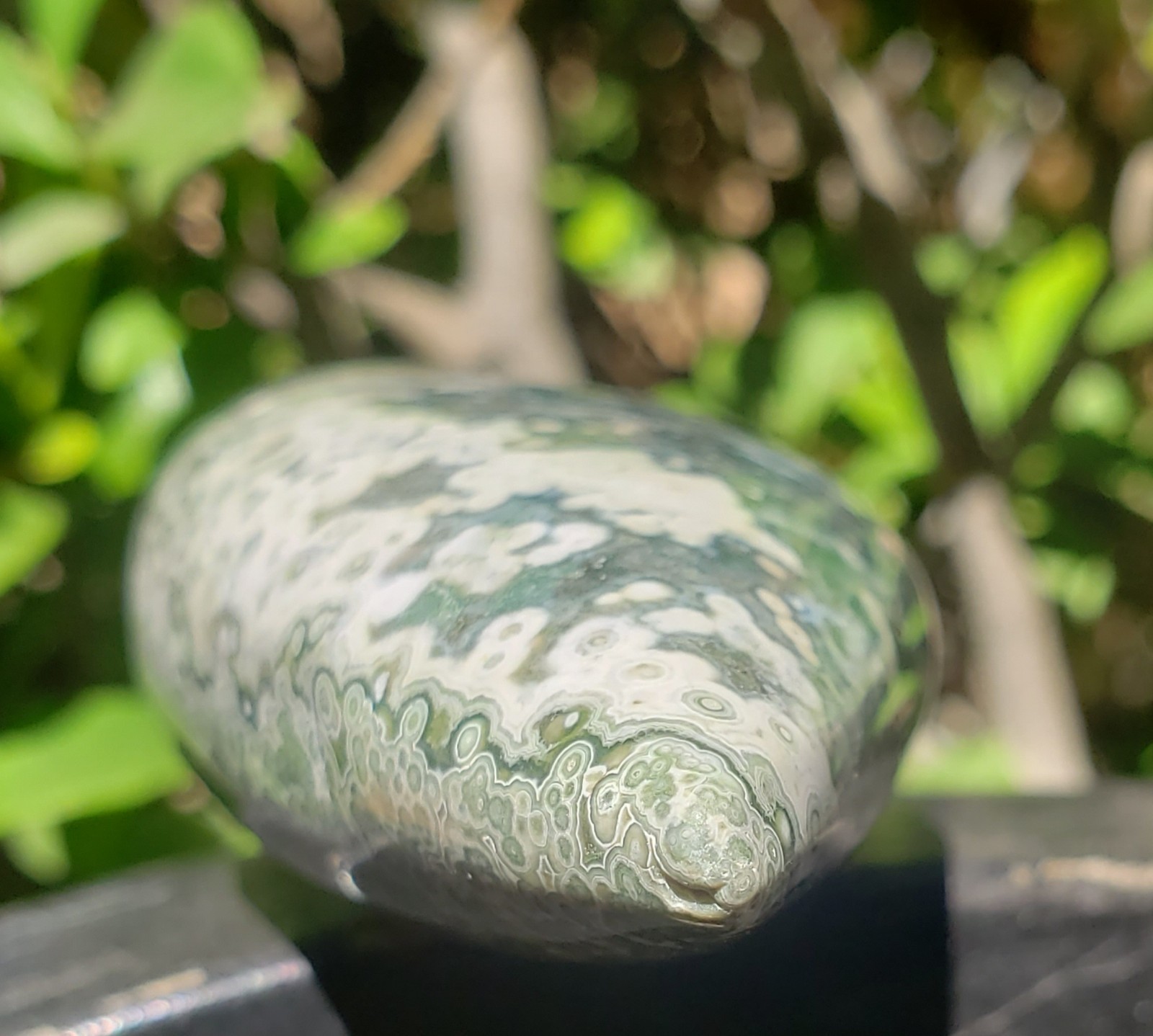 3.75″ Natural 8th Vein Orbicular Ocean Jasper Crystal Quartz UV Tear Free Form