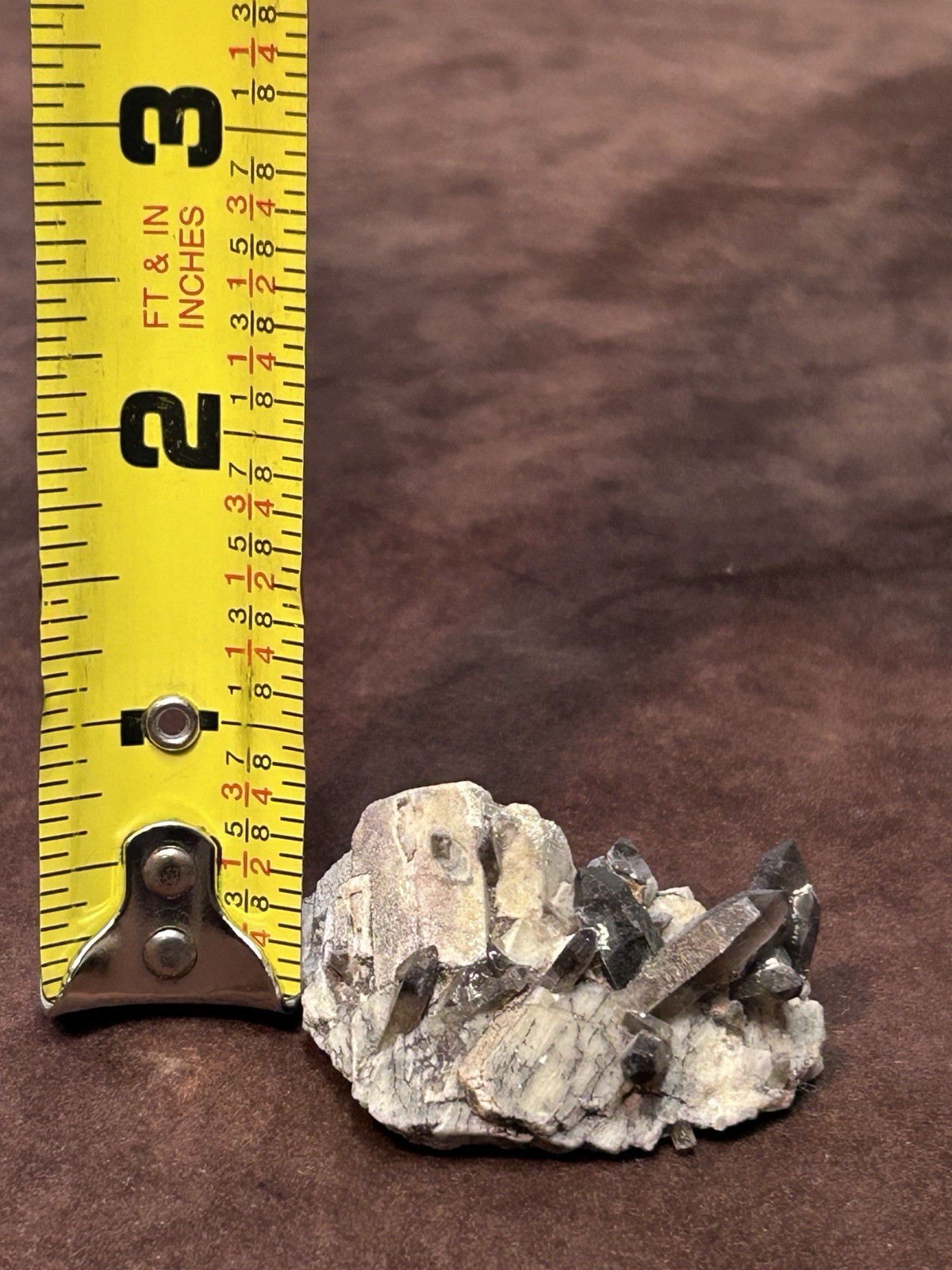 Smoky Quartz on Microcline Colorado Crystal Lined Pocket Miniature Mineral