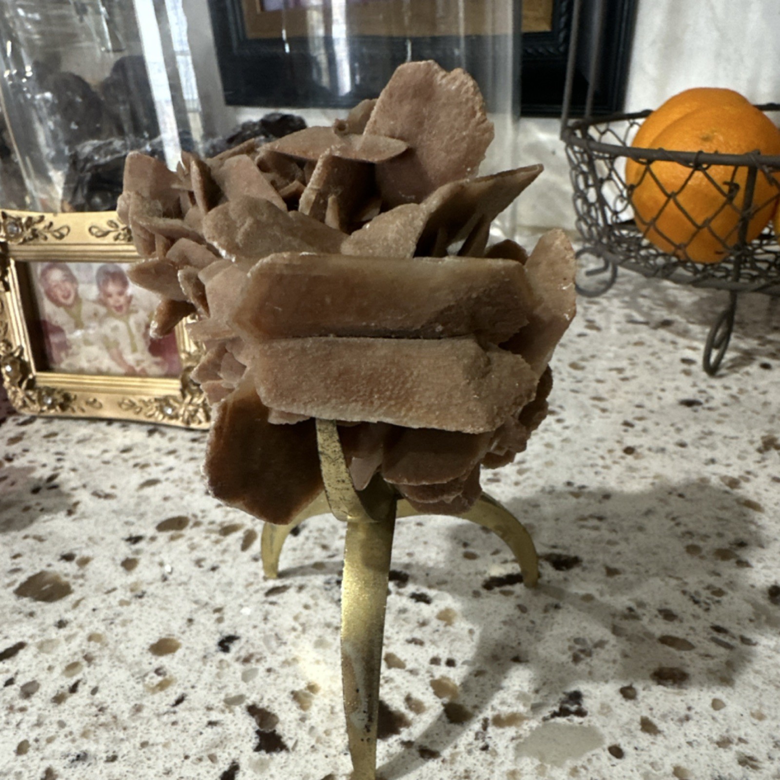 Desert Rose Selenite Gypsum Mineral Specimen on Display Stand