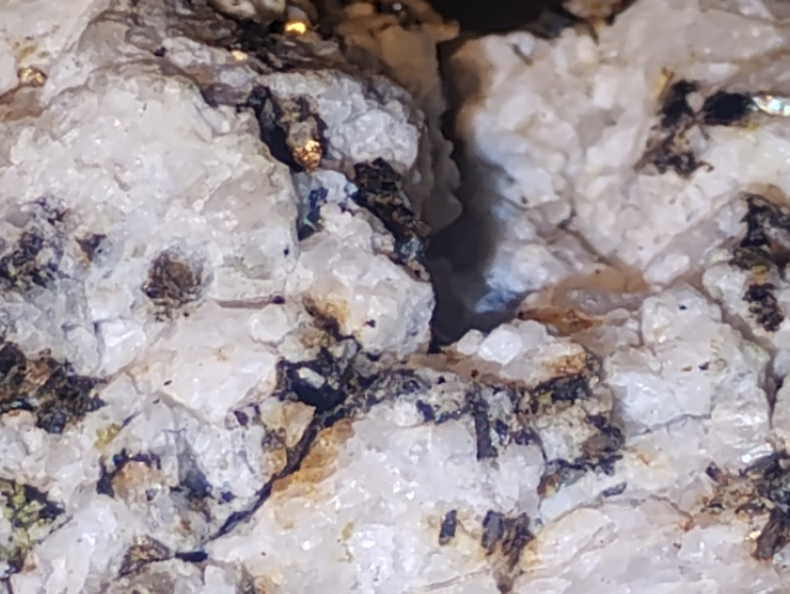 Polymetallic Ore Matrix Quartz, Pyrite & Silver/Black Sulfides – Blue Mountain?
