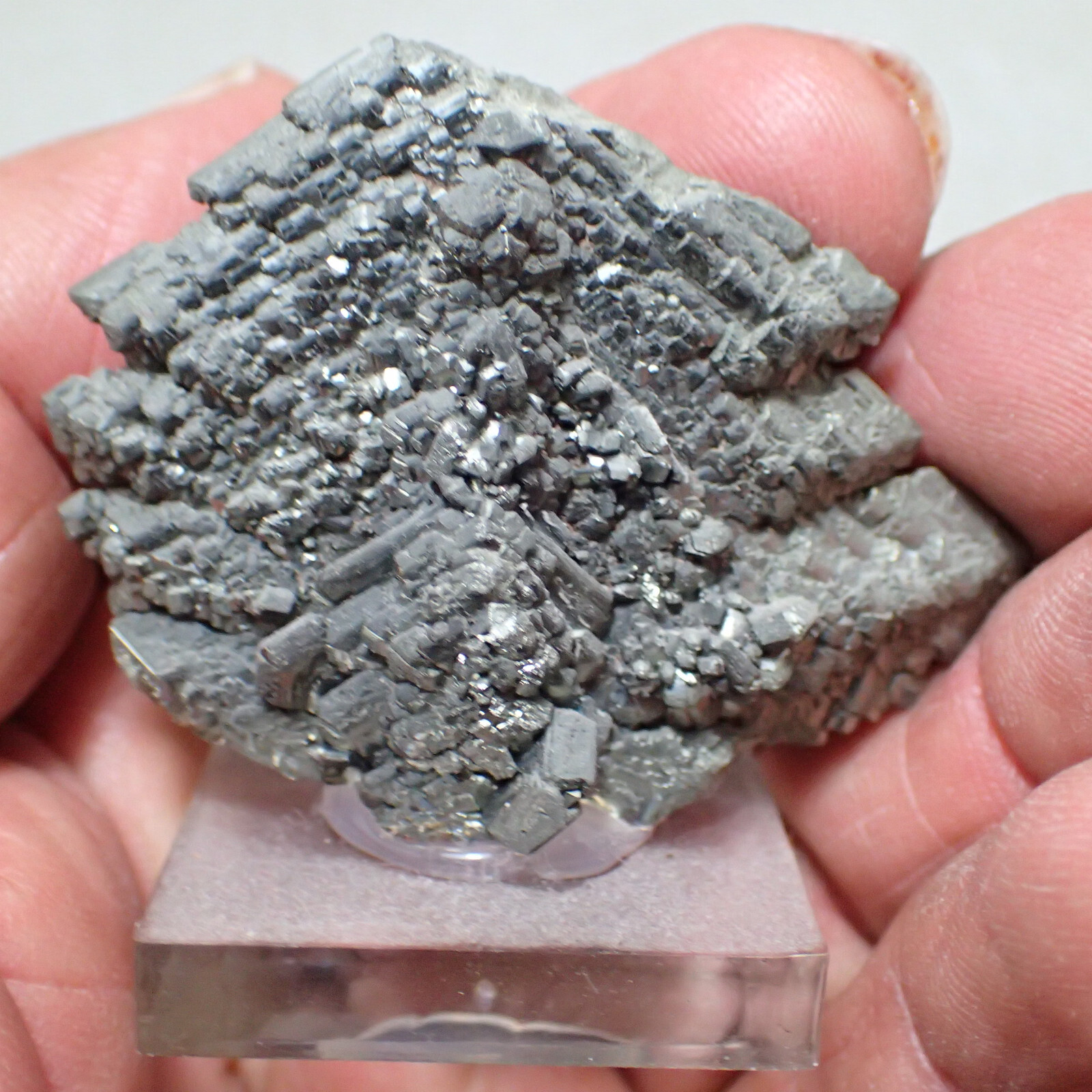 Marcasite, Nove Sedlo, Czech Republic