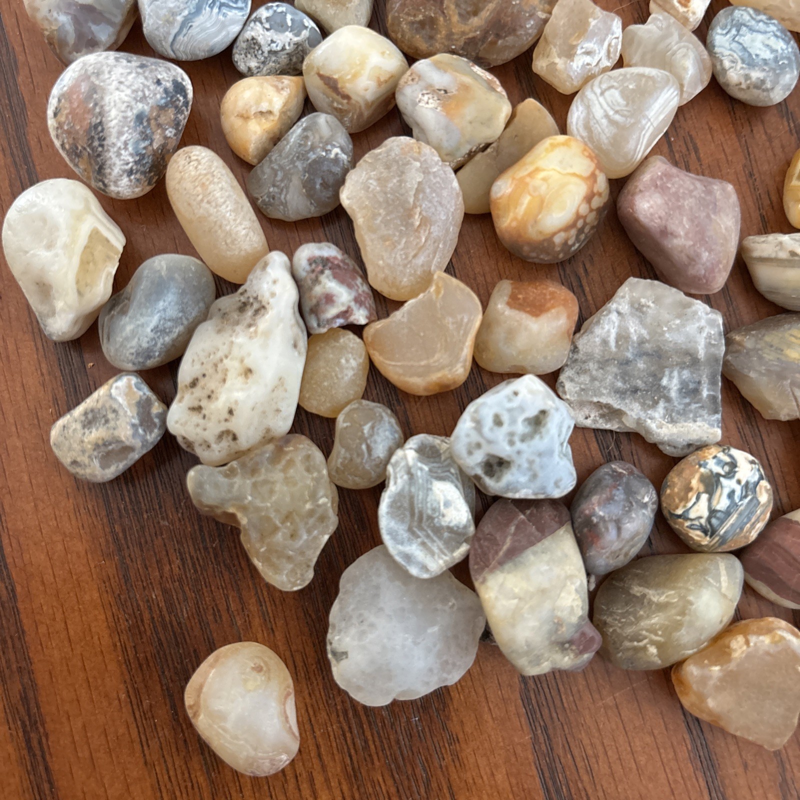 Lot of 1 pound Prair Agates Wyoming- South Dakota Banding Not Polished