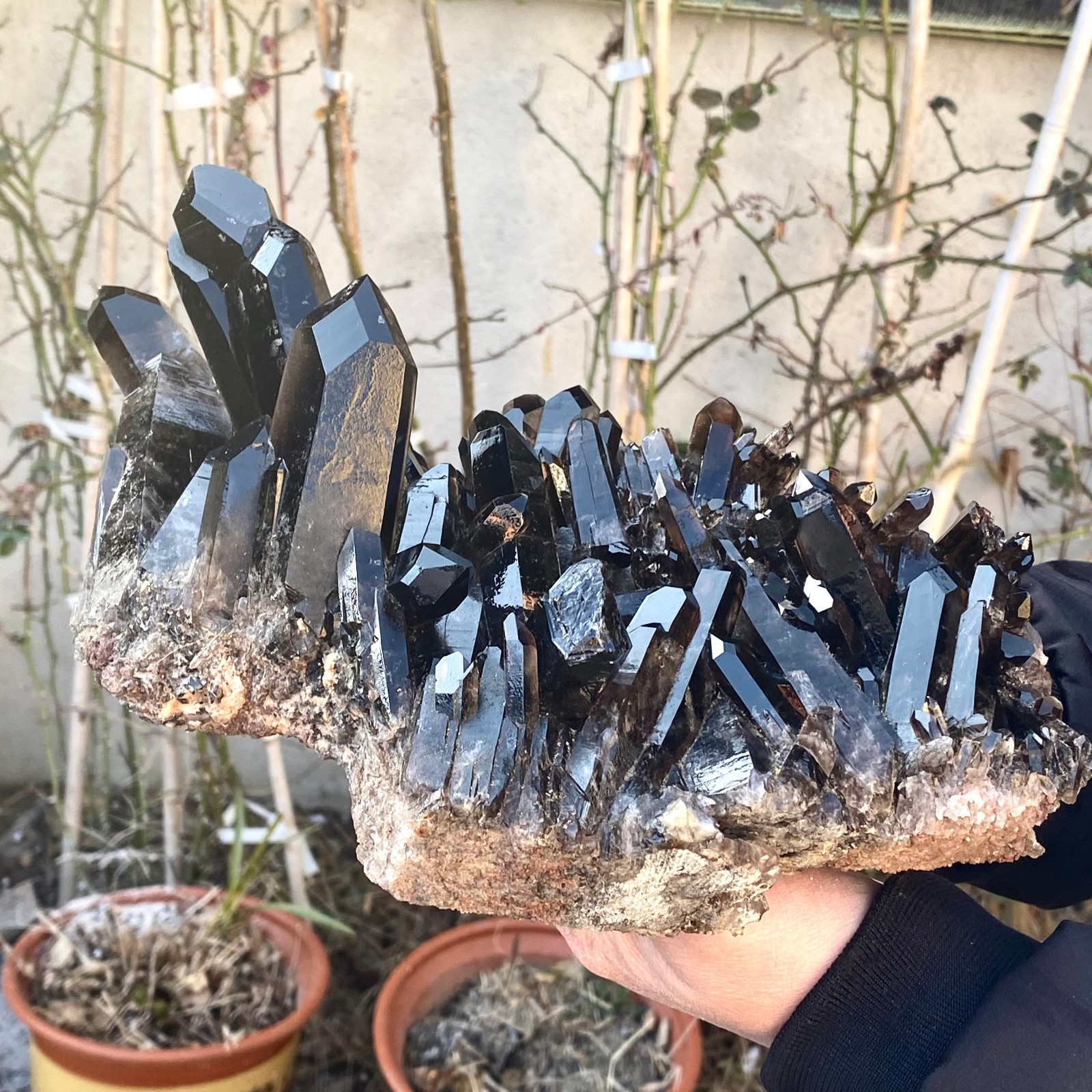 5.25LB Large Natural black Quartz Crystal Cluster Rough Specimen Healing Stone.