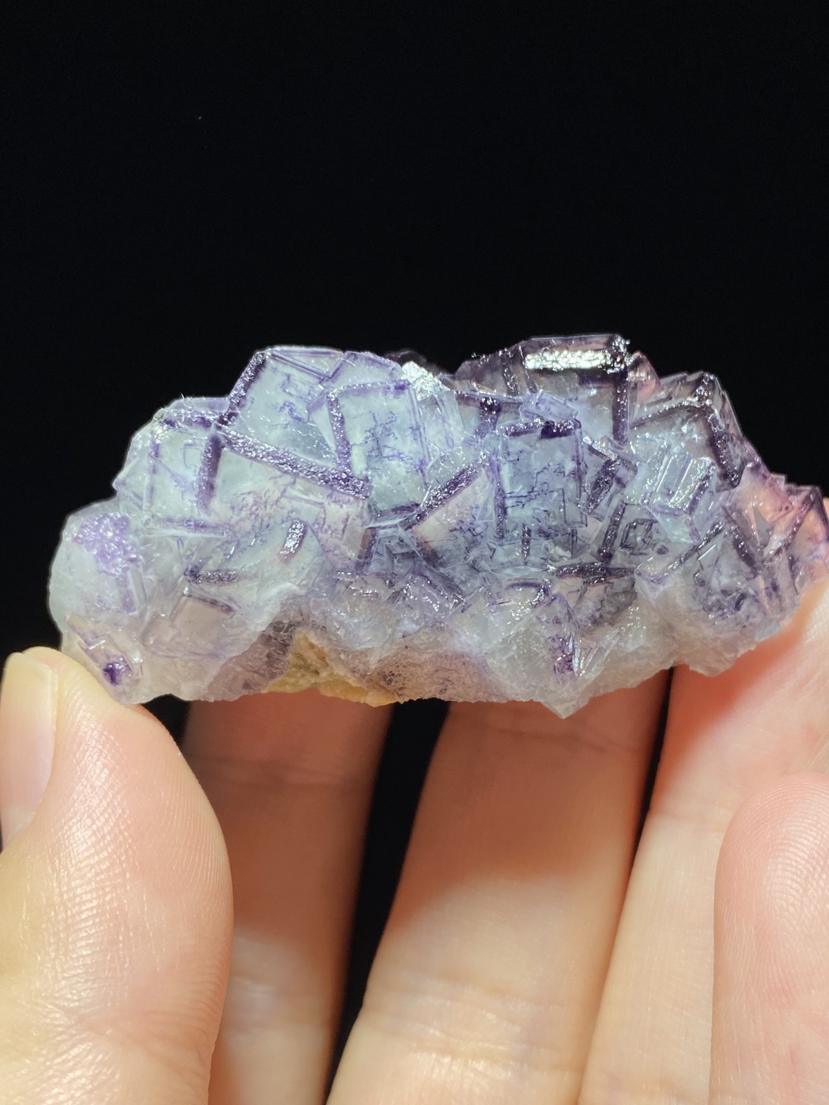 Exquisite Natural Purple-edged Cubic Fluorite Crystal Mineral Specimen,China