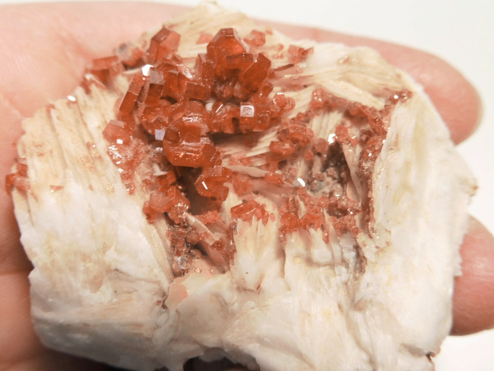 Lustrous Vanadinite on Barite, Mibladen, Midelt, Morocco, 2.0” x 1.7” x 0.8”