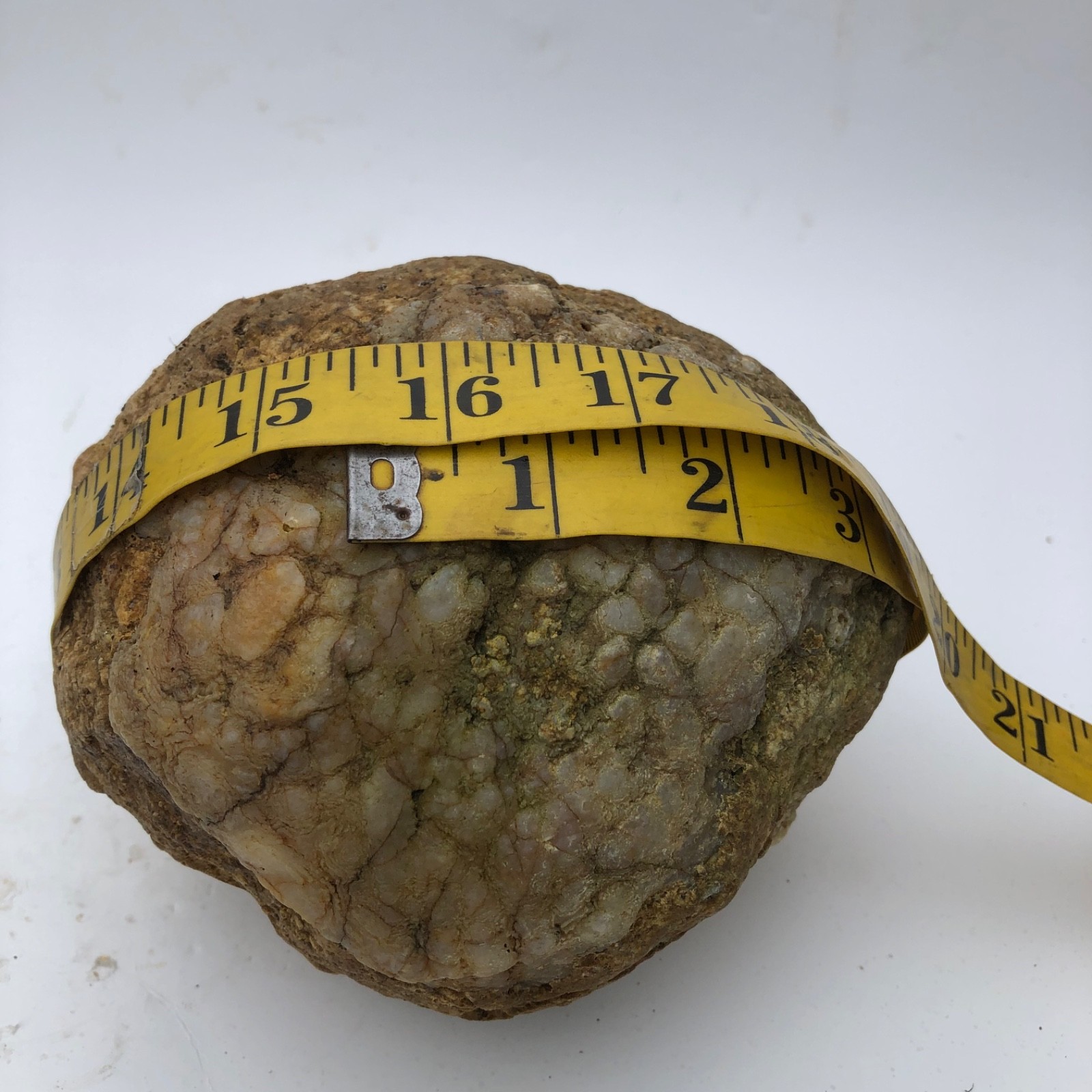 4 lb Unopened Kentucky Geode Rattler Break Your Own Hand Picked Natural Quartz