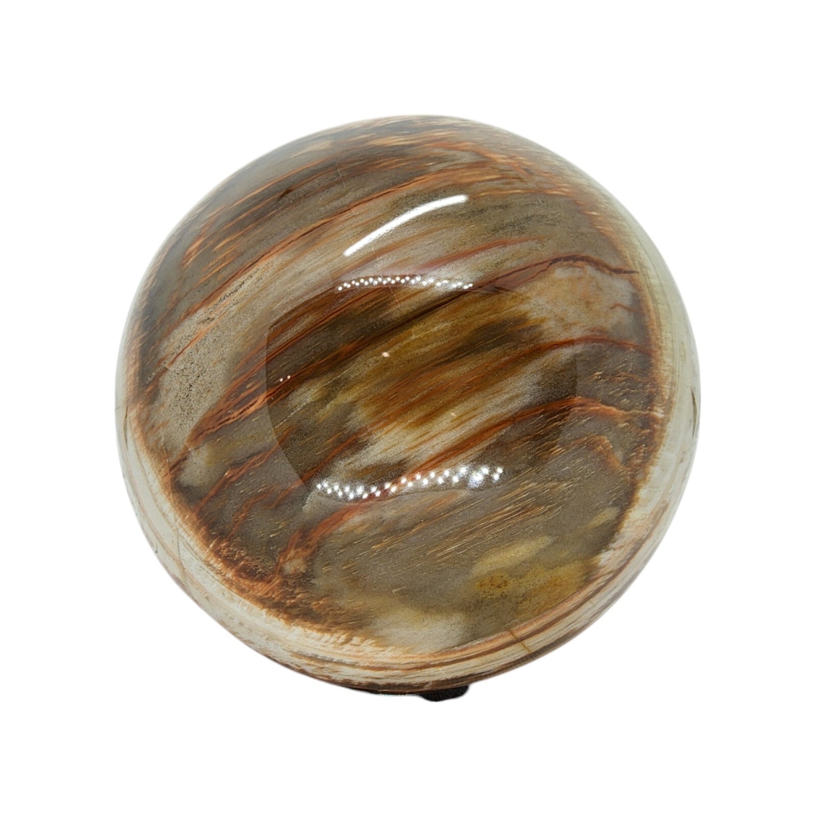 Petrified Wood, 3.75″, sphere, display specimen, #R-6529