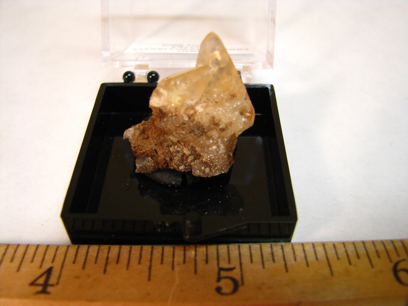 GOLDEN DOGTOOTH CALCITE CLUSTER THUMBNAIL IN CASE MARBLEHEAD QUARRY OHIO #224
