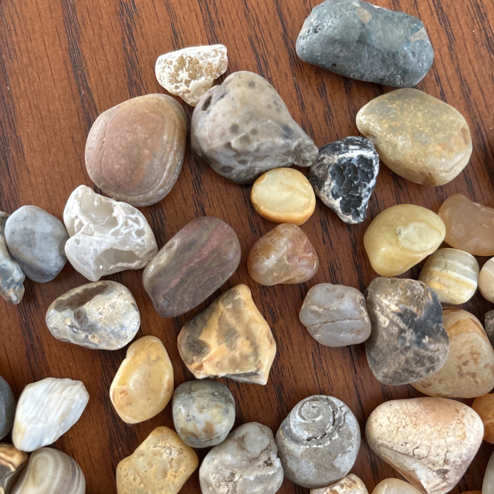 Lot of 1 pound Prair Agates Wyoming- South Dakota Banding Not Polished