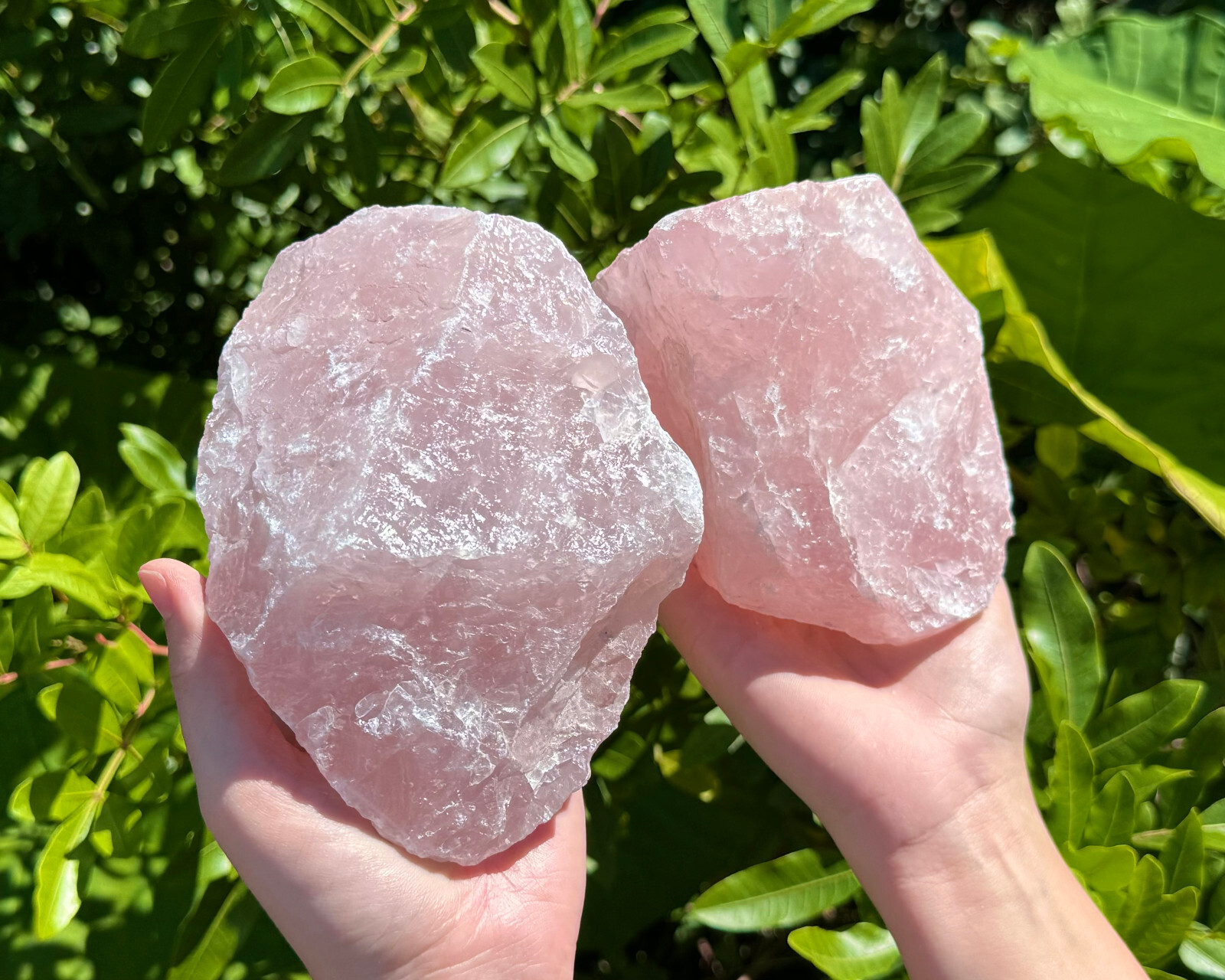 JUMBO Rose Quartz Natural Raw Crystals – Choose Size Huge Chunks (Love Stone)