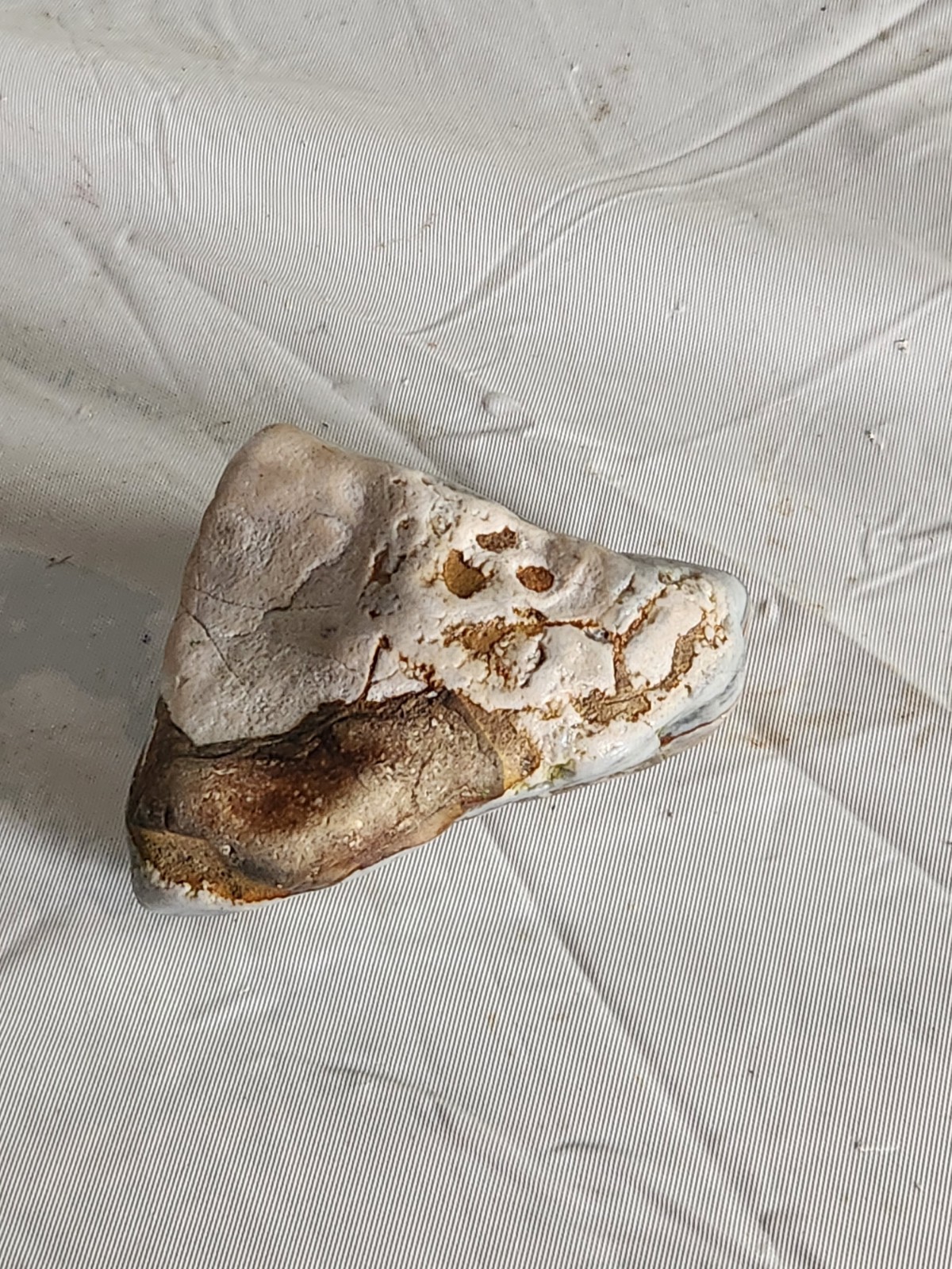 Lake Superior Agate Wisconsin 5.6 oz • Not Polished