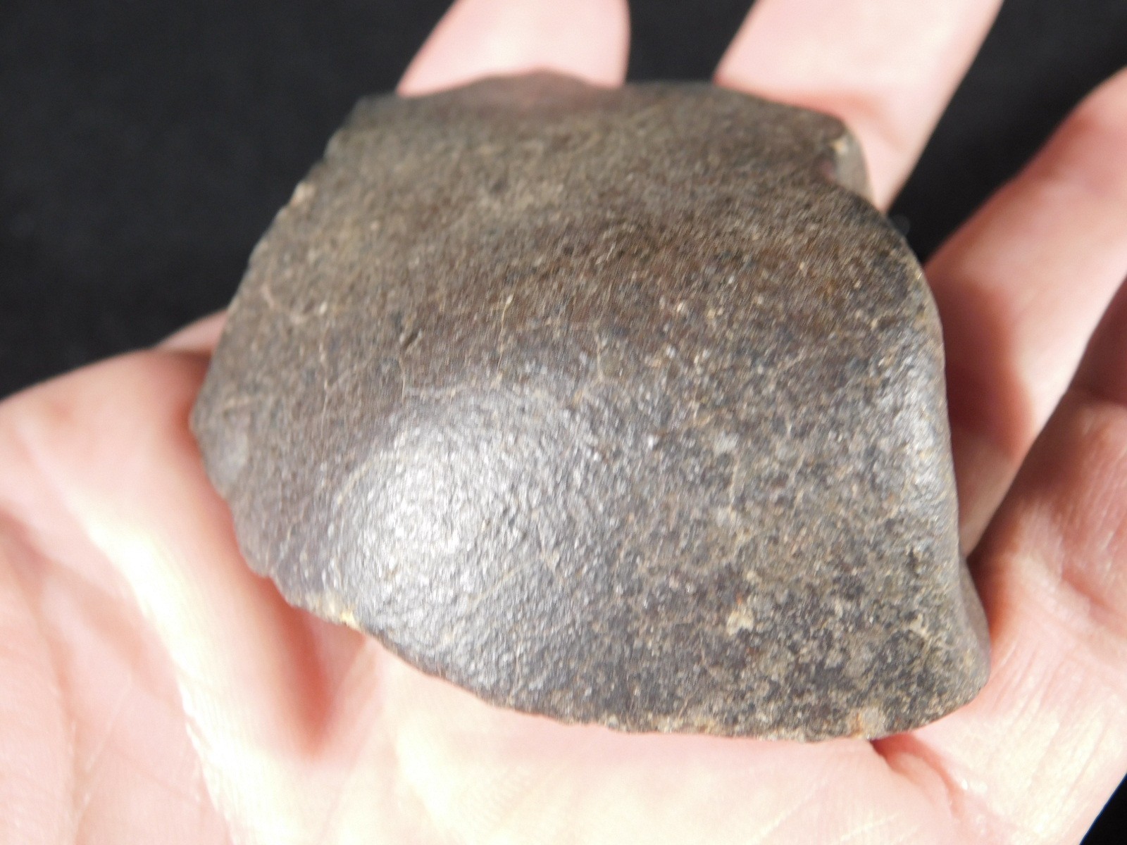 wOw! Larger! Stony METEORITE with DARK Silky Fusion Crust! FELL in Libya 219gr