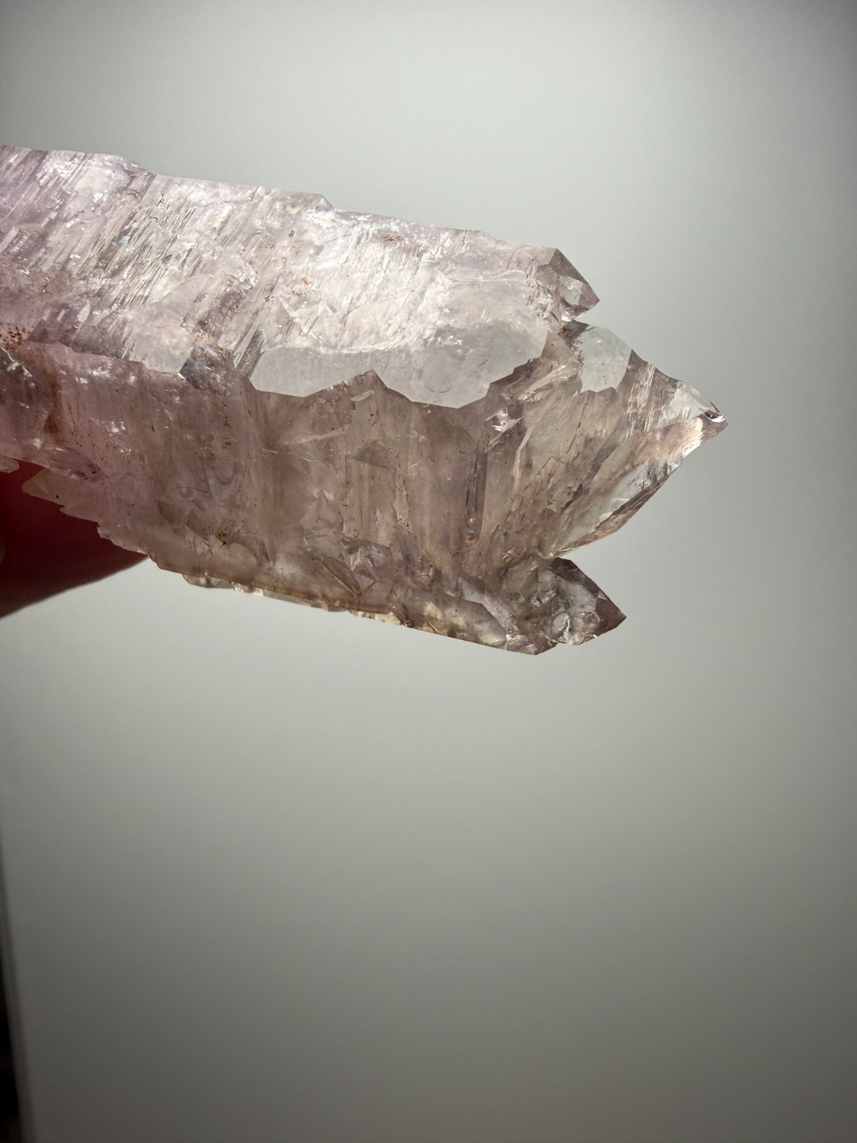 AMAZING Jacare Amethyst- Buridan’s Mule Claim, New Mexico- RARE PIECE!