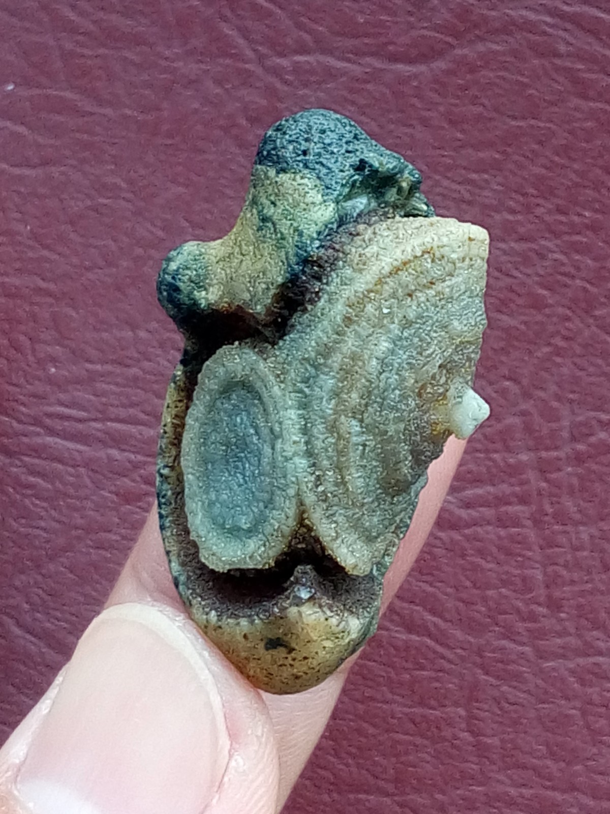 36mm Natural Gobi agate eye agate stone cute collection