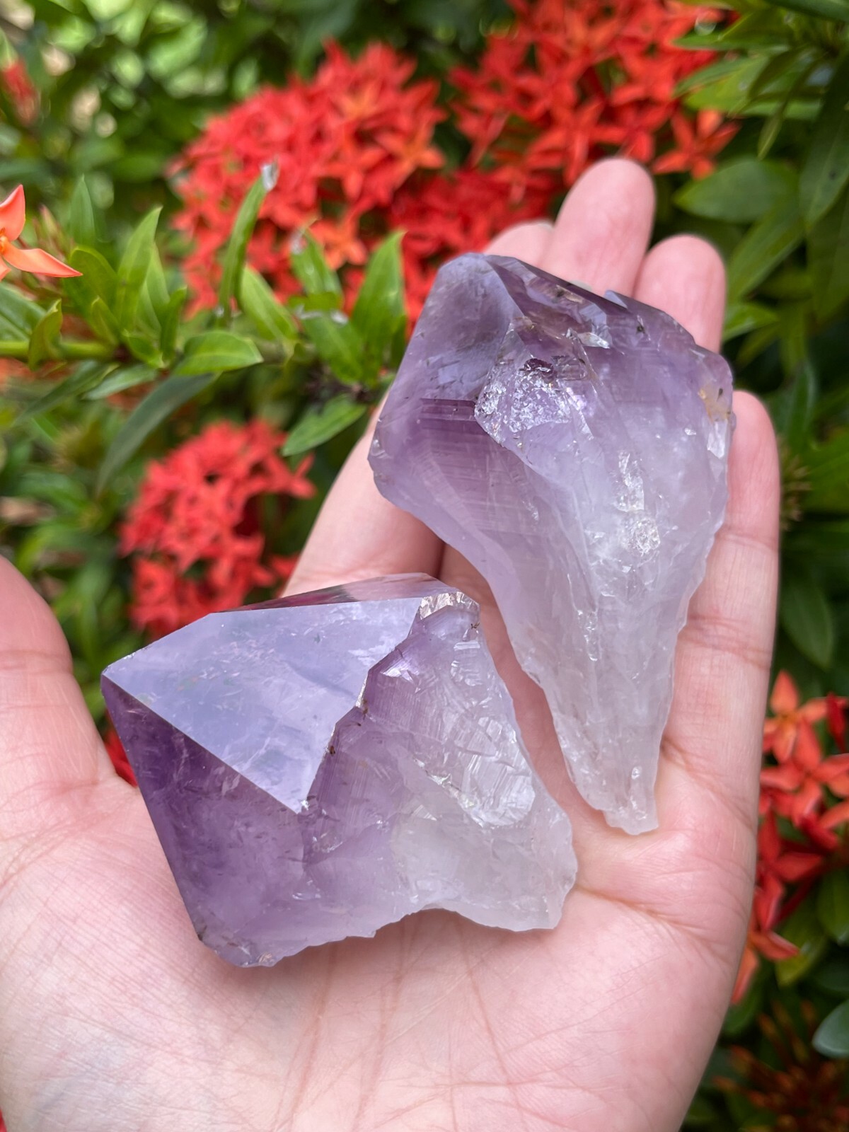 Extra Large Amethyst Rough Points, 2.5 – 3.25″ Raw Amethyst Points, Bulk Lot