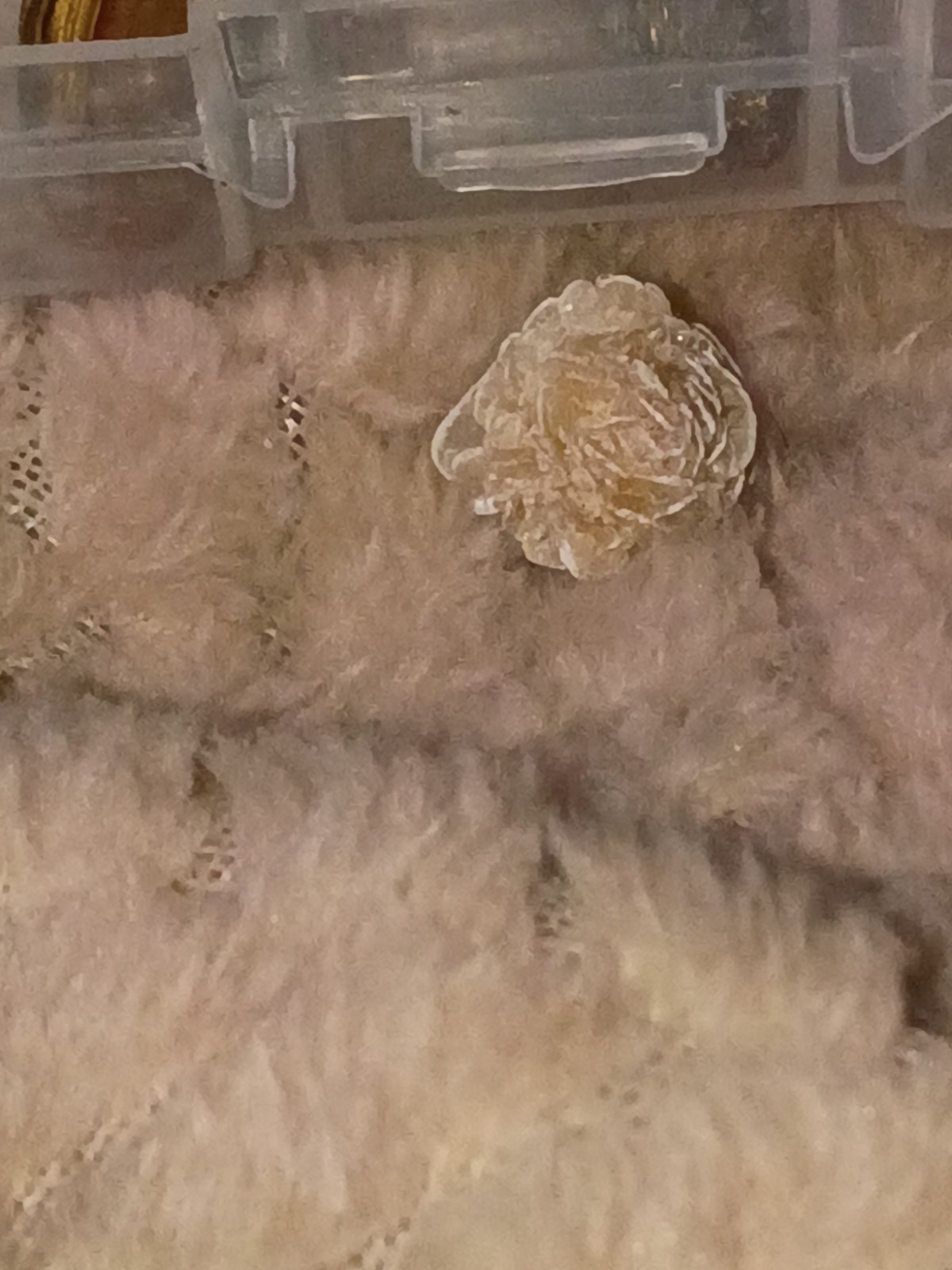 Desert Rose Selenite Gypsum Crystal Cluster Specimen, Rosette-Shaped