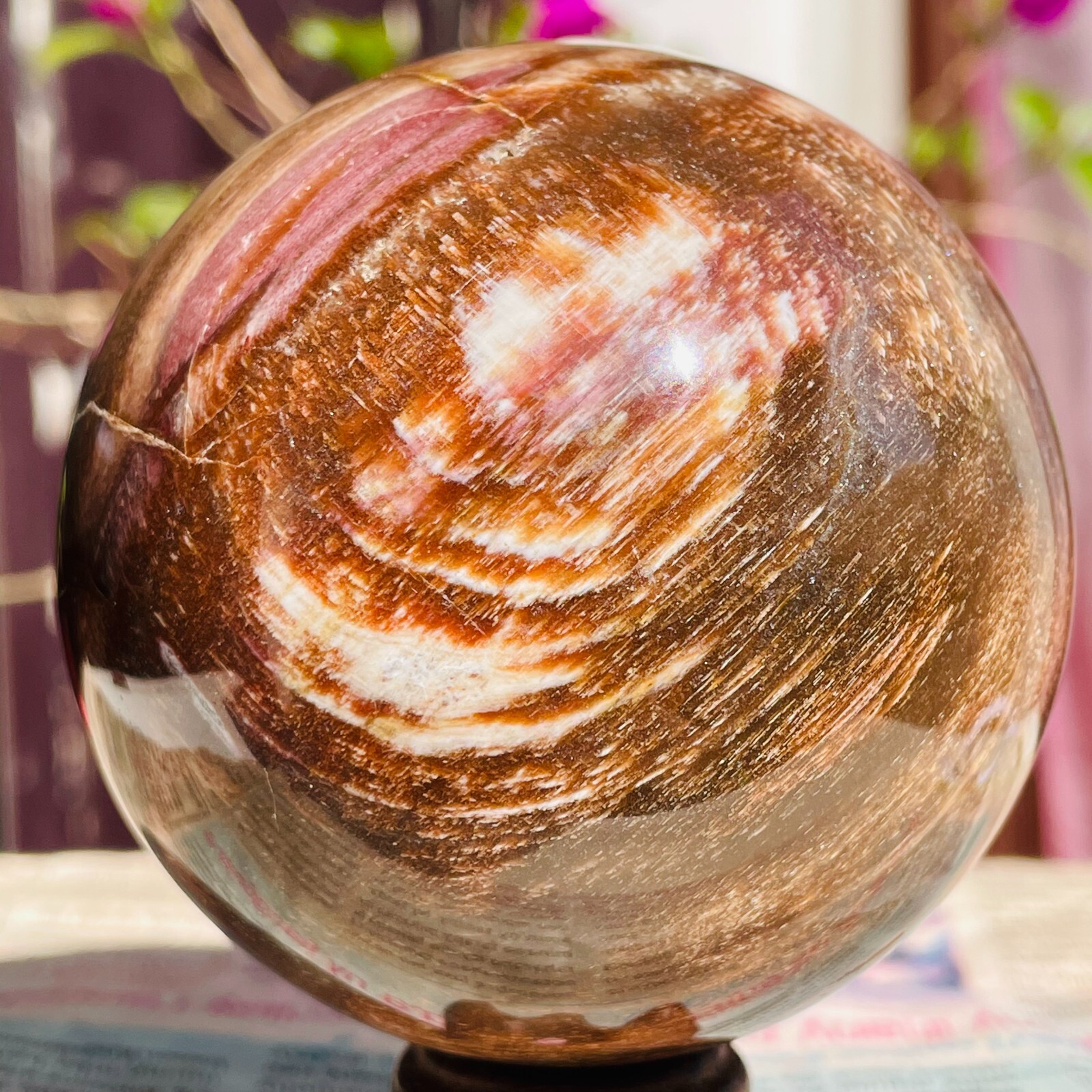 640g Natural Red Petrified Wood Crystal Ball Fossil Polished Sphere Specimen
