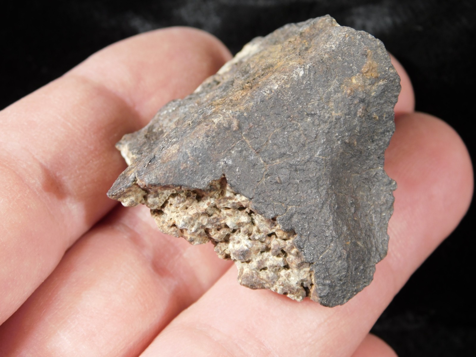 Classified NWA 8245 METEORITE 100% Natural FELL on Erfoud, Morocco 47.3gr