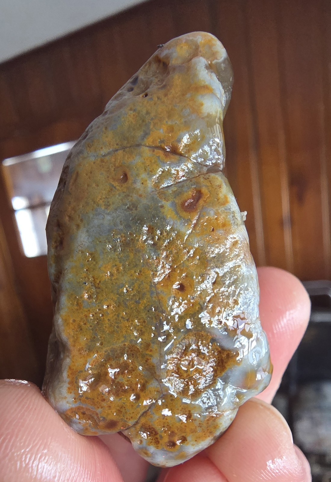 Lake Superior Agate 2.0oz