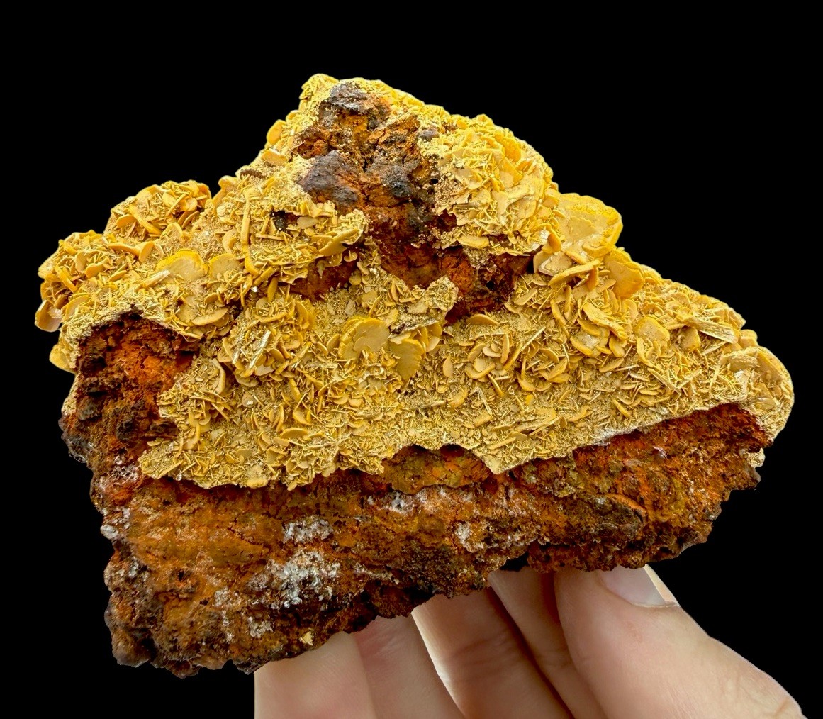 Wulfenite Crystals: Stefanie Mine . Bad Bleiberg . Carinthia , Austria 🇦🇹