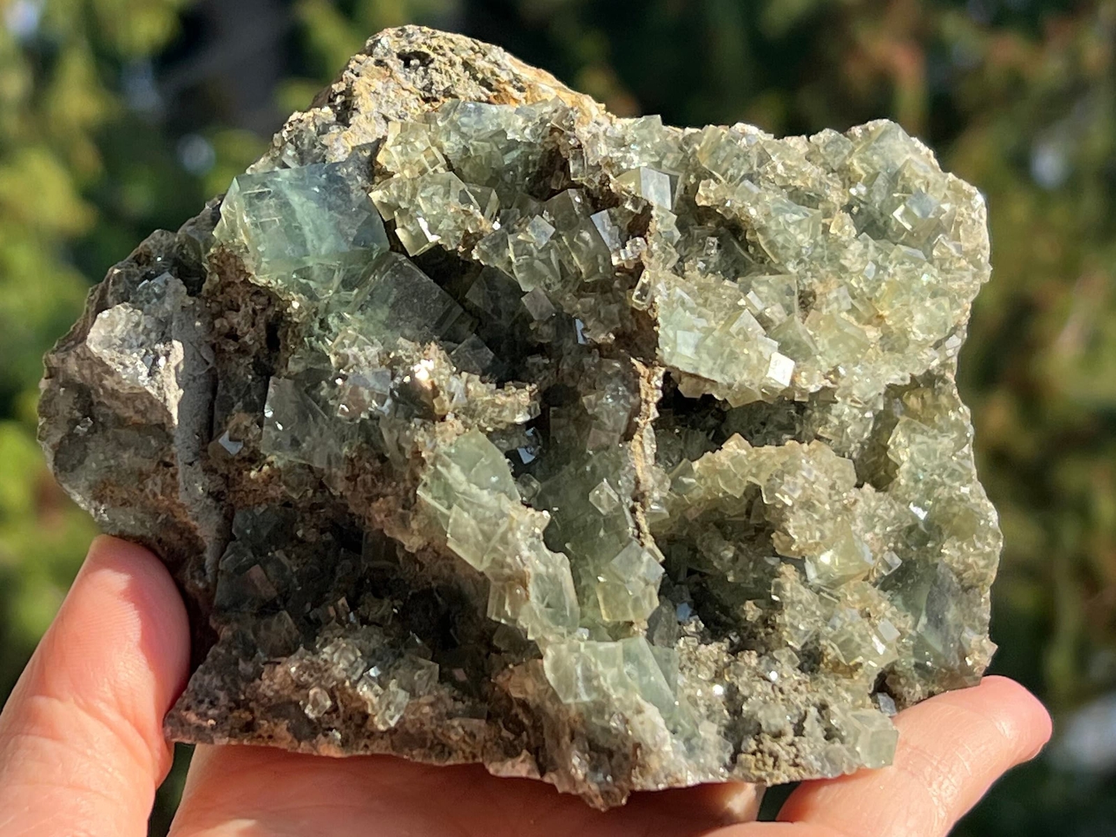 Xianghualing Fluorite Cubes on Matrix – from Hunan, China