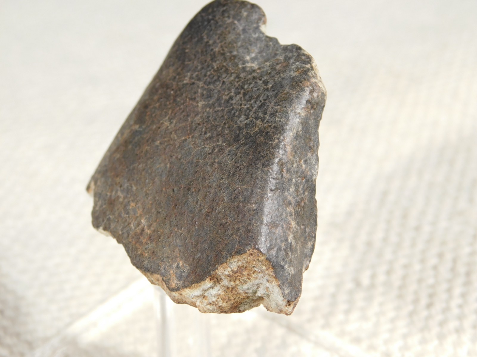 Stony METEORITE with DARK Fusion Crust and Contraction CRACKS 70.2gr