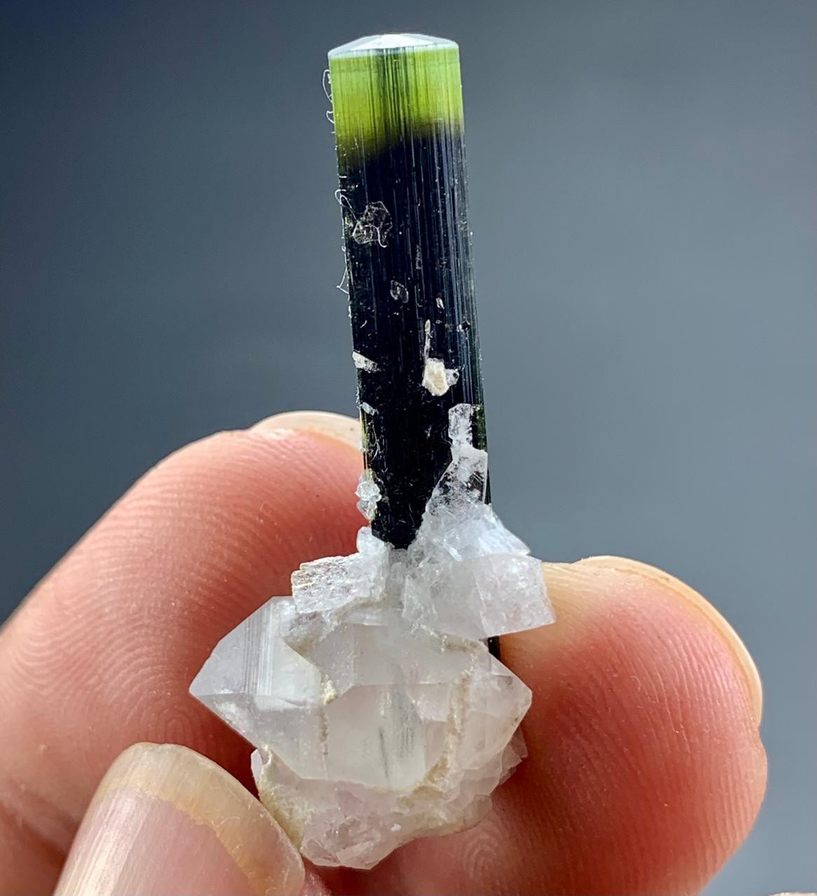 Natural Green Cap Tourmaline Crystal Specimen Lot Skardu Pakistan Minerals