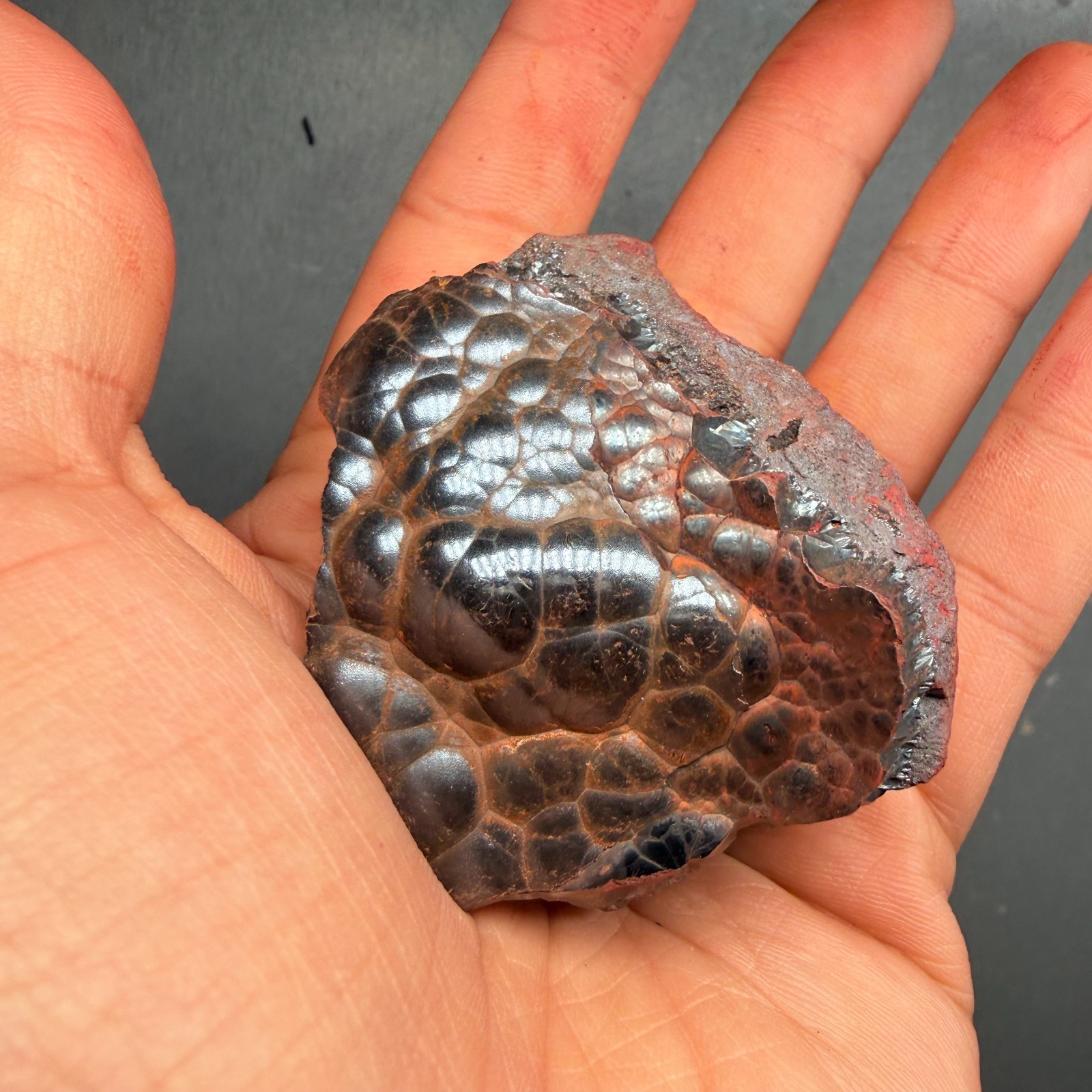 Botryoidal Hematite Specimen from Morocco 185g – Natural Iron Rose Formation