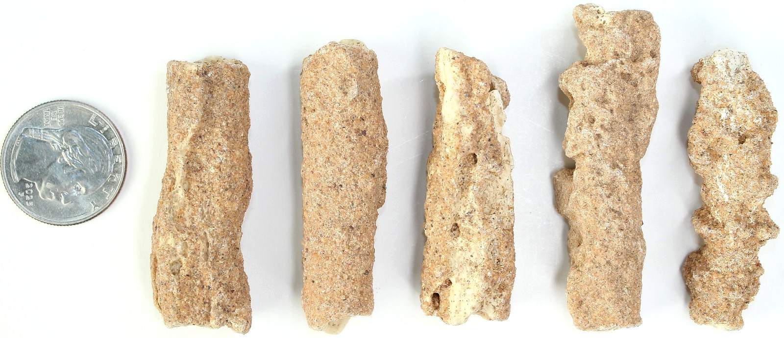 5 Pieces of Rare AAA Algerian Fulgurite (Petrified Lightning) / 76gr / 4109