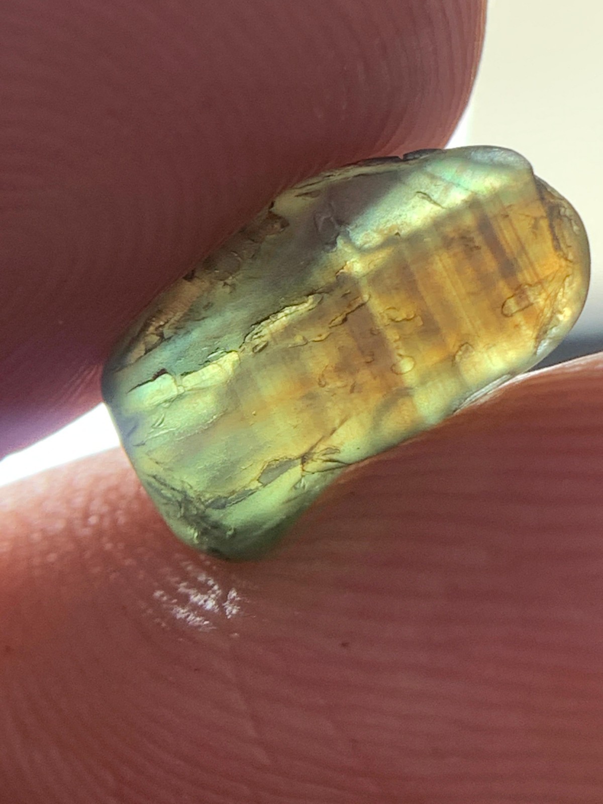 2.45 Crts Natural Stunning Bi Green Brown color Teal Sapphire rough @madagascar