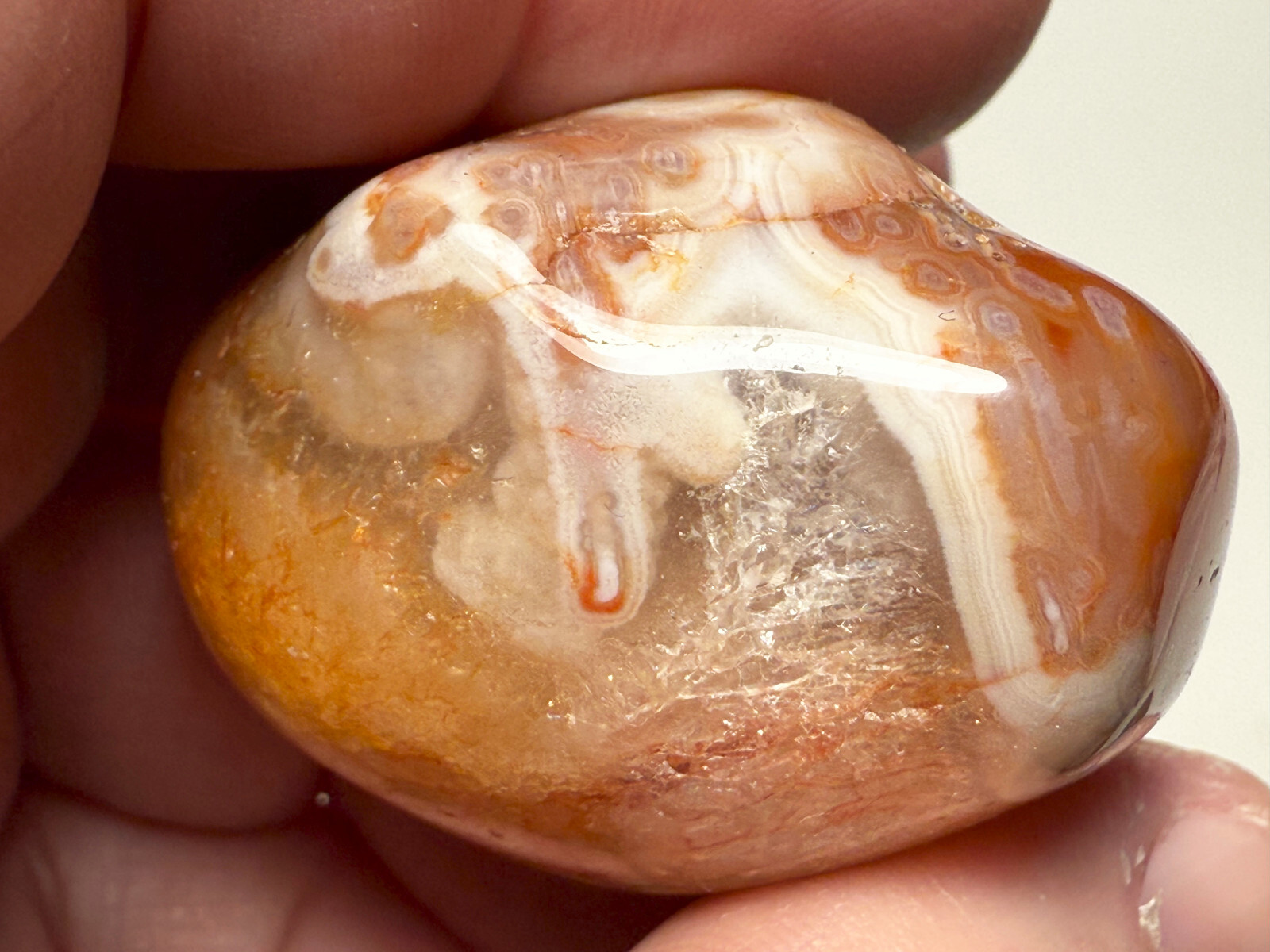 2.0 oz Michigan Minnesota Lake Superior Agate LSA #18 EYES BANDS (polished