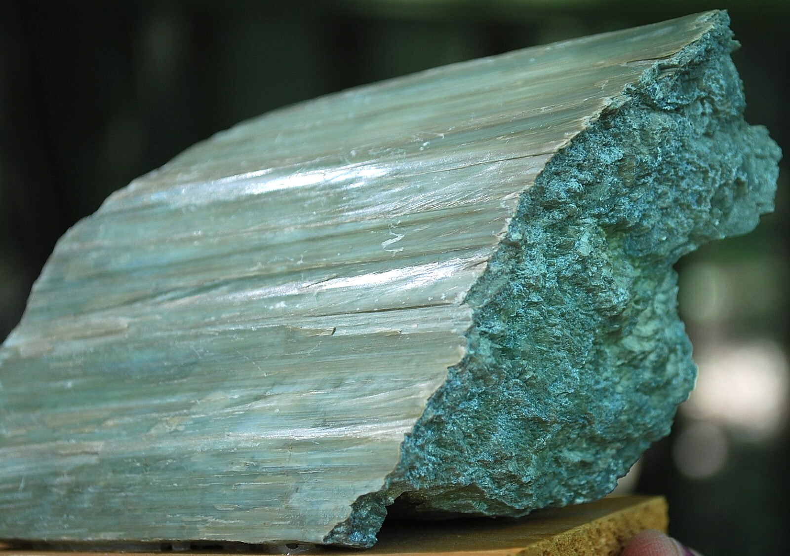 Natural GREEN SERPENTINE STONE Mineral MUSEUM NMBR SPECIMEN Quebec MOUNTED 4.25″