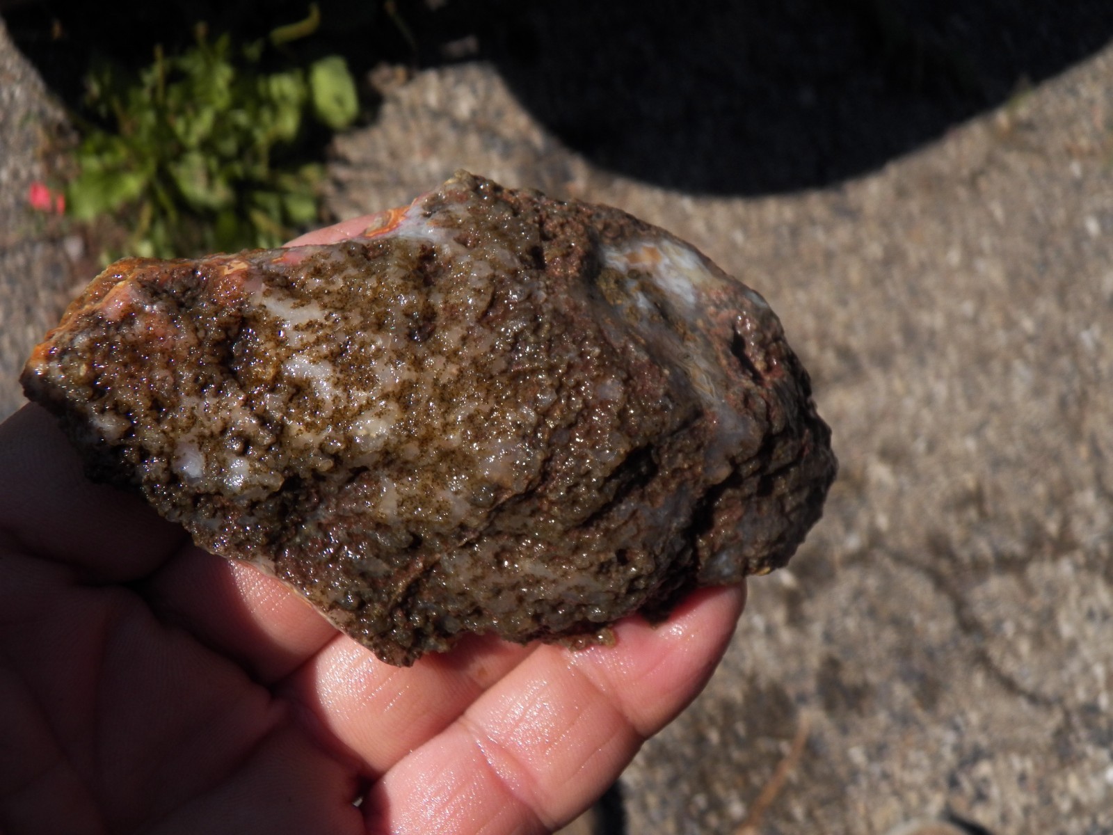 Agouim High Atlas agate endcut slab specimen rough cut Morocco bright color