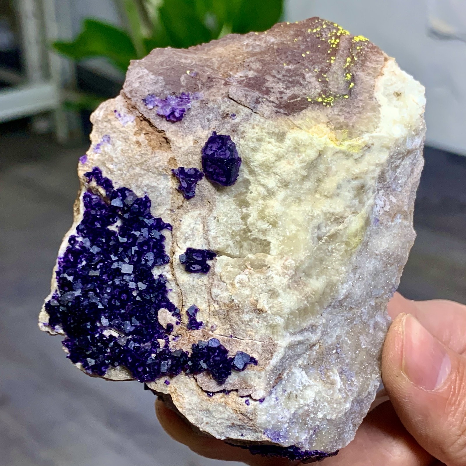248G Rare transparent purple cubic fluorite mineral crystal sample/China