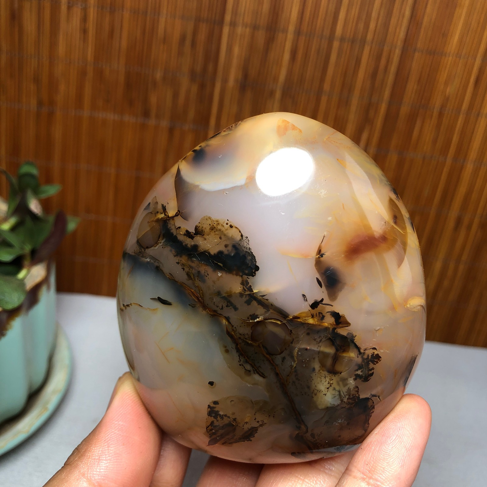 Natural aquatic plants agate pretty Crystal specimens free standing 331g A9998