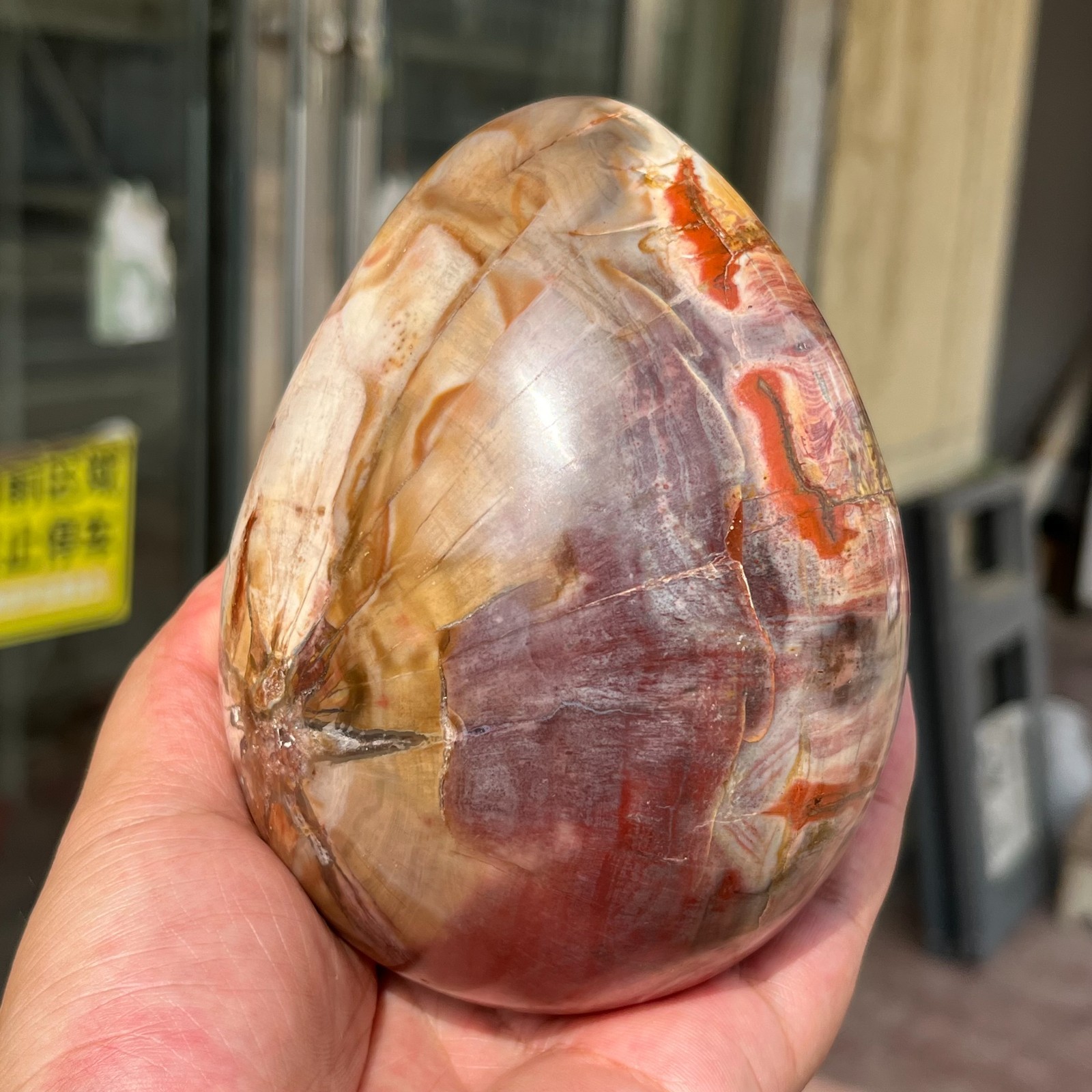 3.28LB Large Amazing Natural Petrified Wood Fossil Stone Egg Crystal Healing