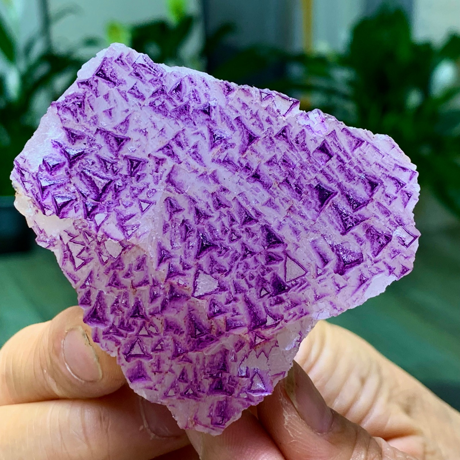 153G Natural fluorite purple edged cubic crystal mineral sample